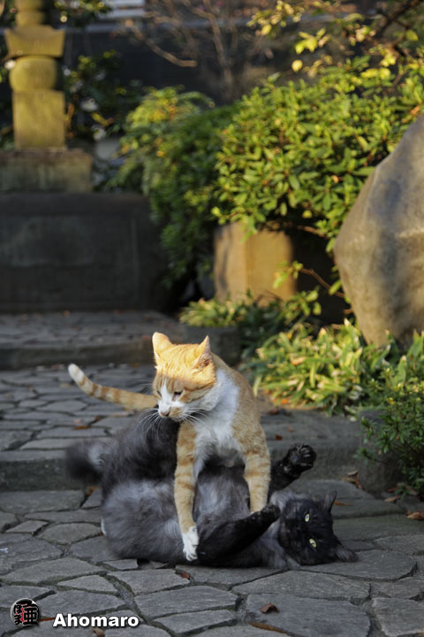 写真00