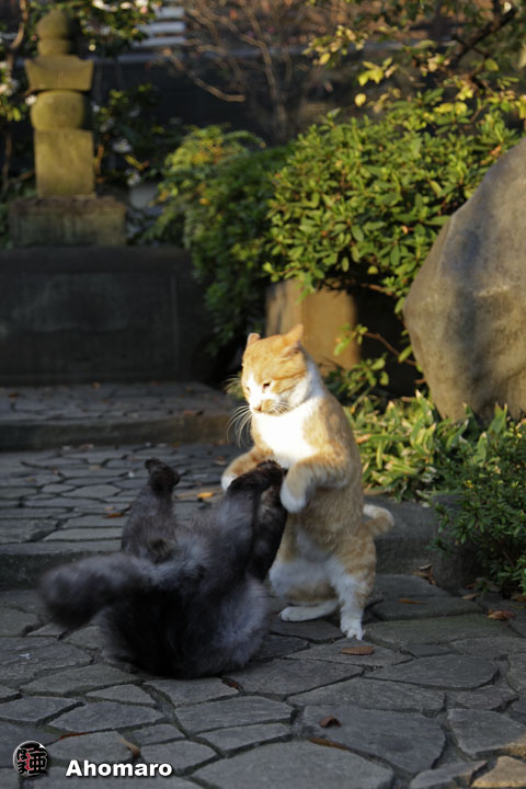 写真00