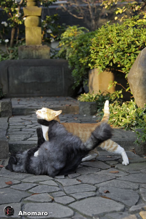 写真00