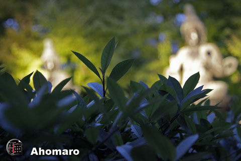 写真00