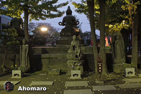 写真00
