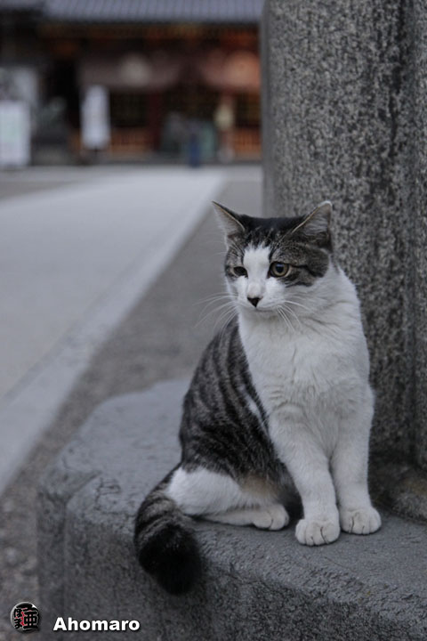 写真00