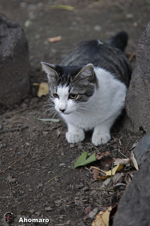 写真00
