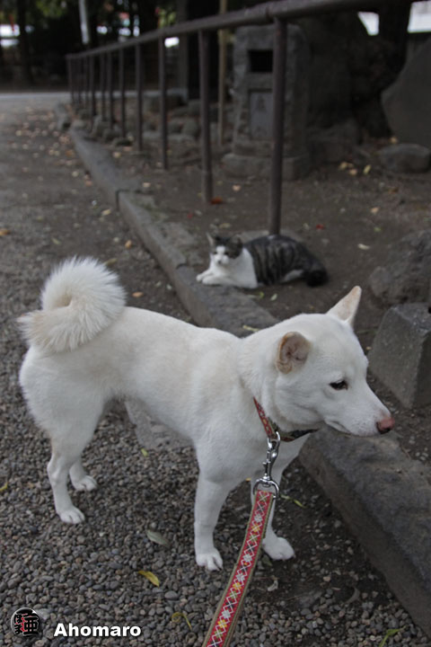 写真00