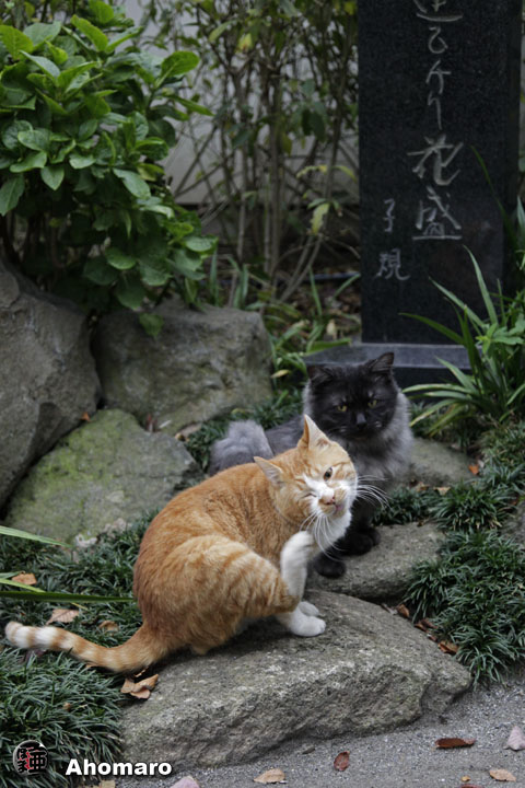 写真00