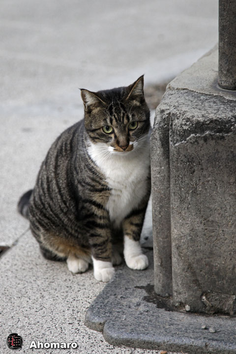 写真00