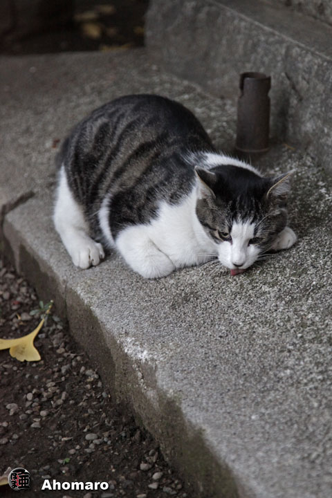 写真00