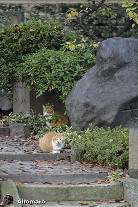 写真00