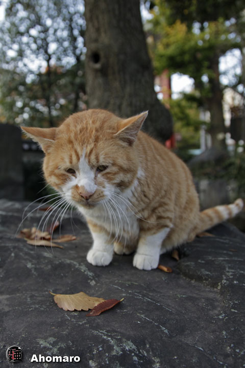 写真00