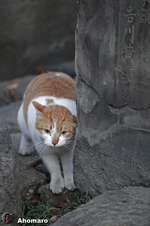 写真00