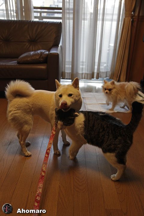写真00