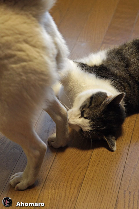 写真00