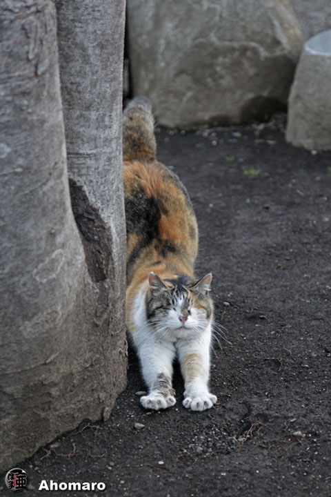 写真00