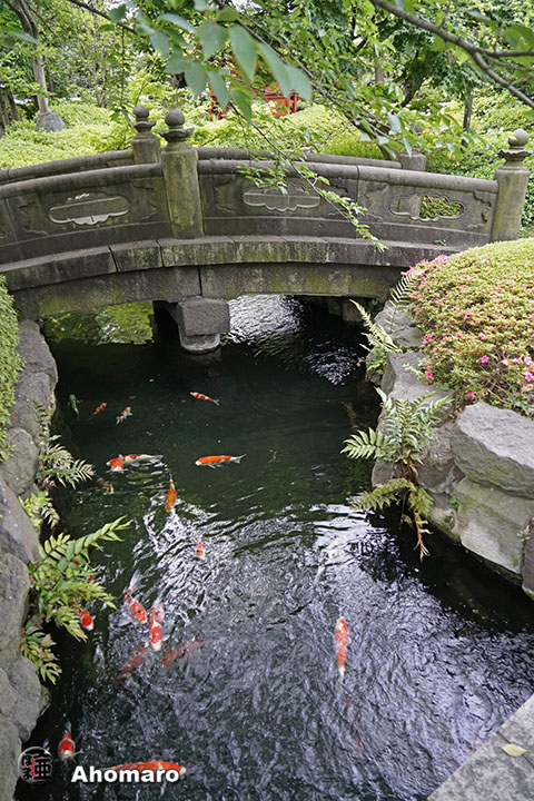 写真00
