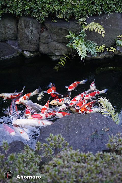 写真00