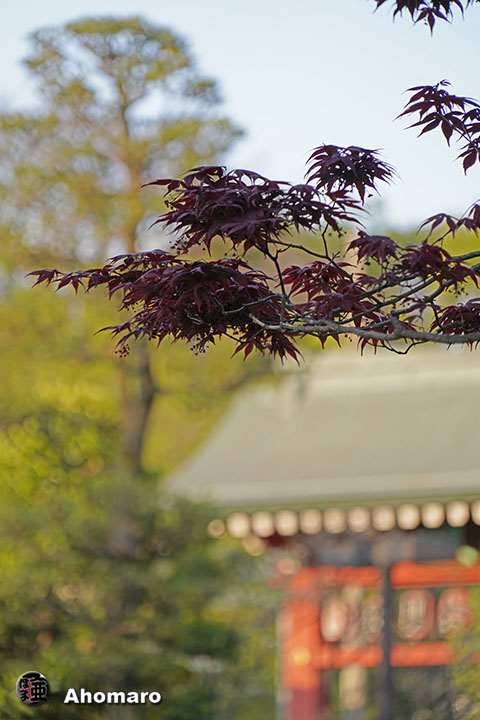 写真00