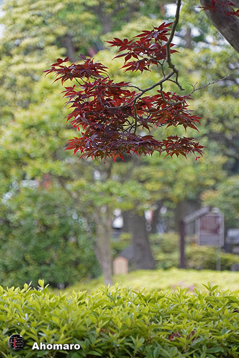 写真00