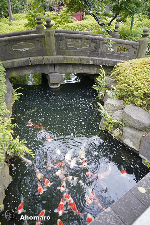 写真00