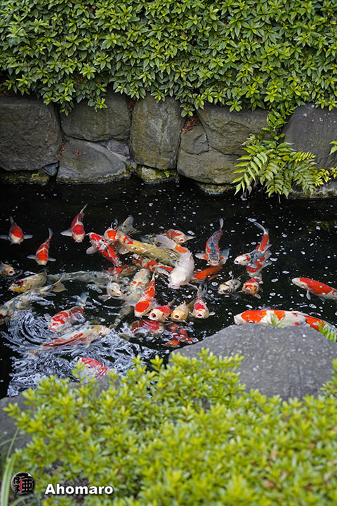 写真00