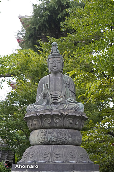 写真00