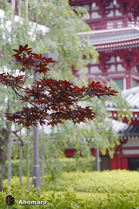 写真00