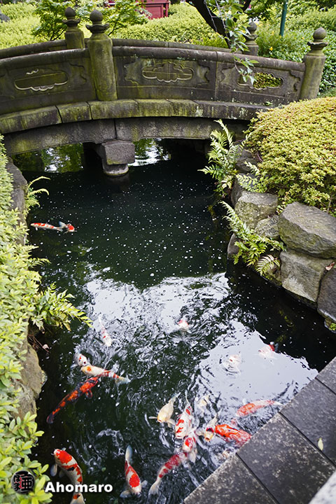 写真00