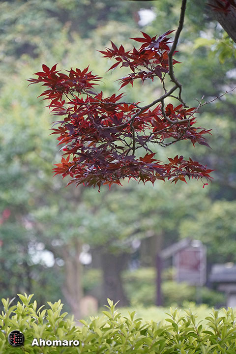 写真00