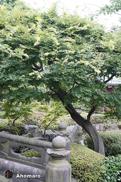 写真00