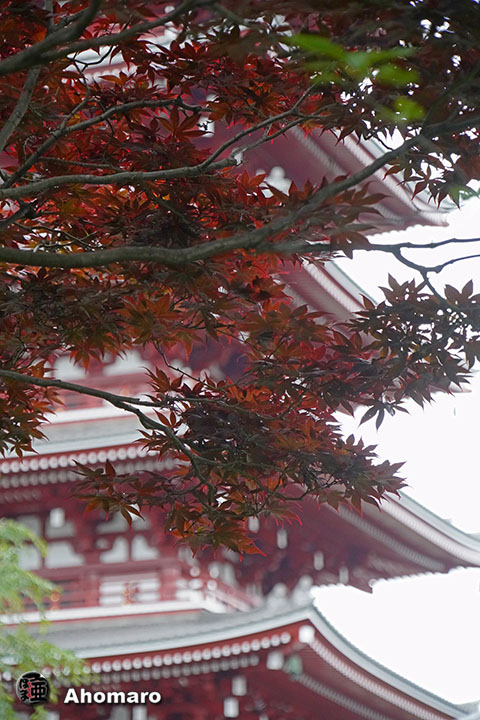 写真00