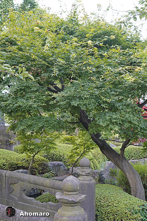 写真00