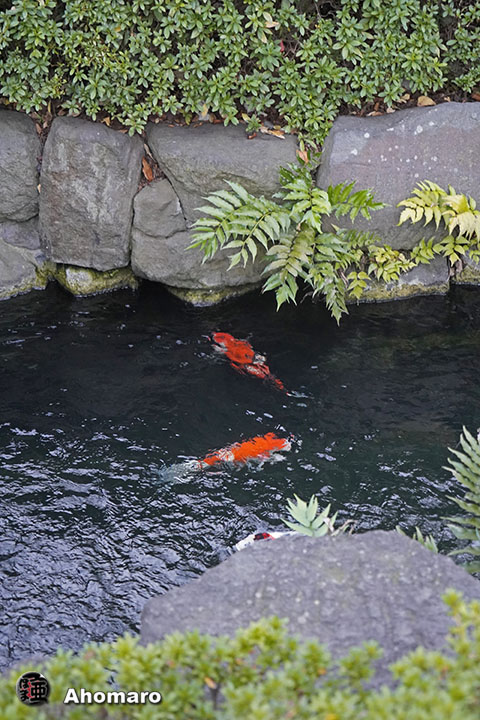 写真00