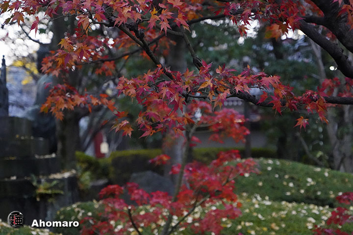 写真00