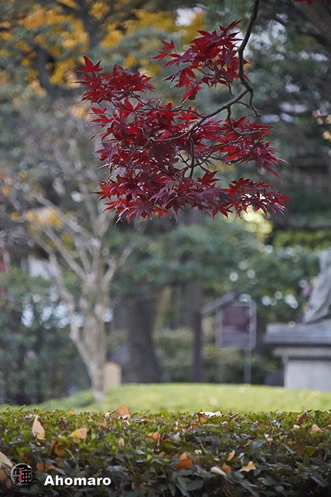 写真00