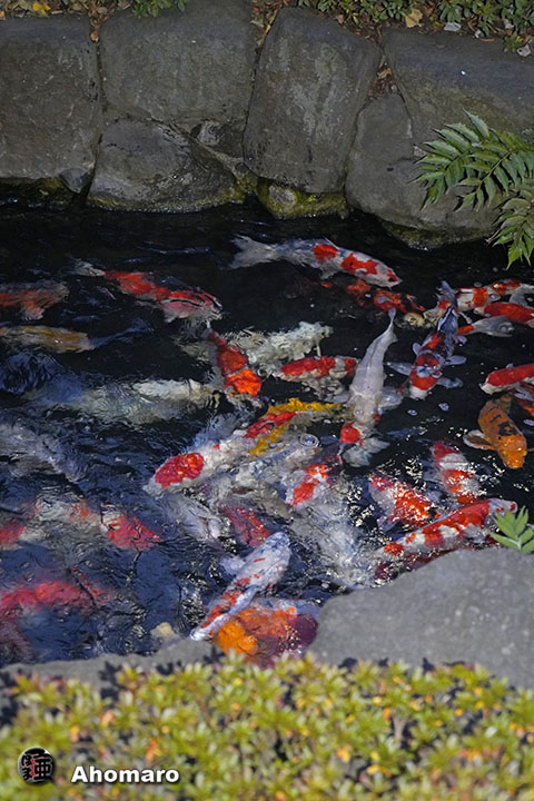 写真00