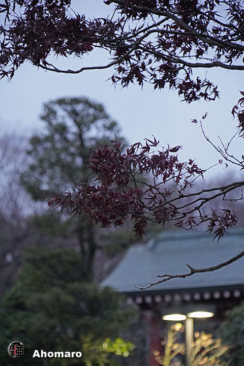 写真00