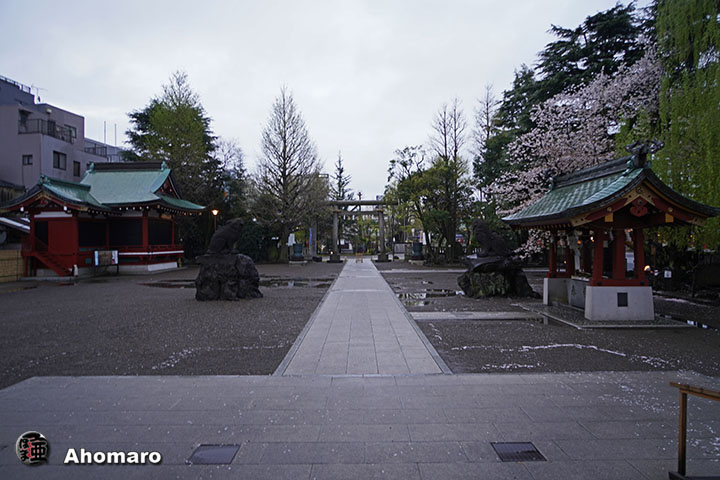 写真00