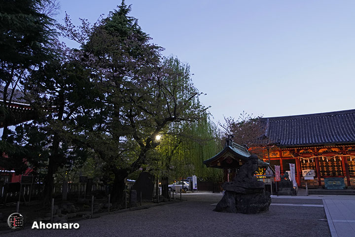 写真00