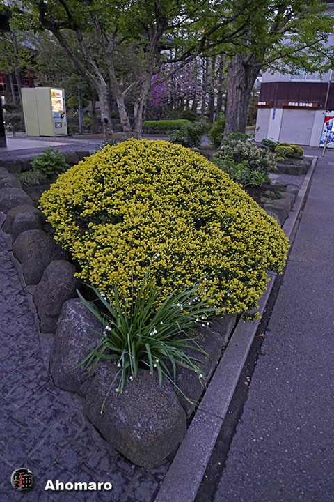写真00