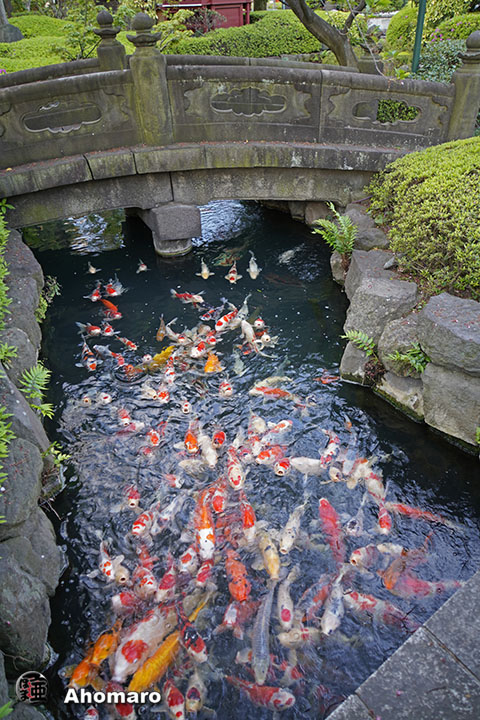 写真00