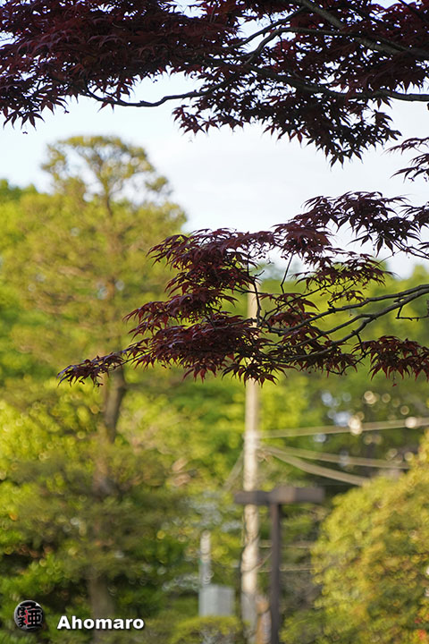 写真00