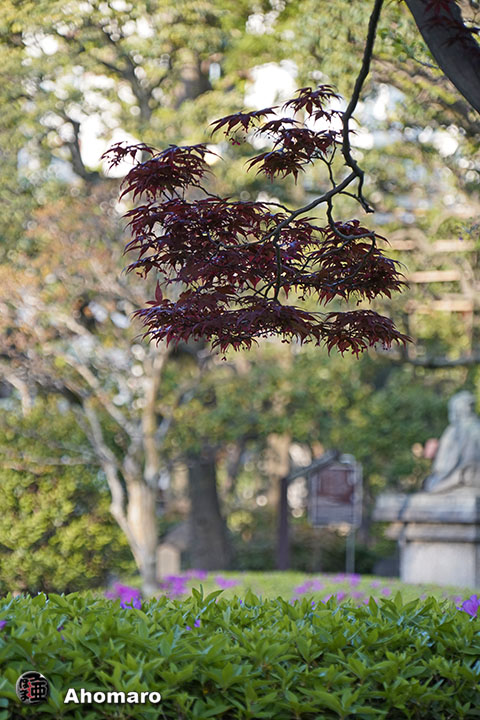 写真00