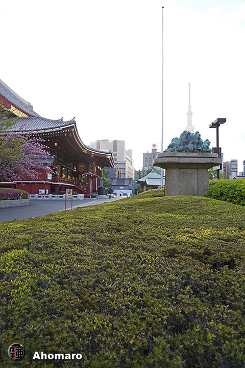写真00