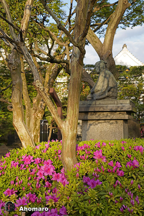 写真00