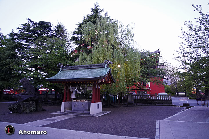 写真00