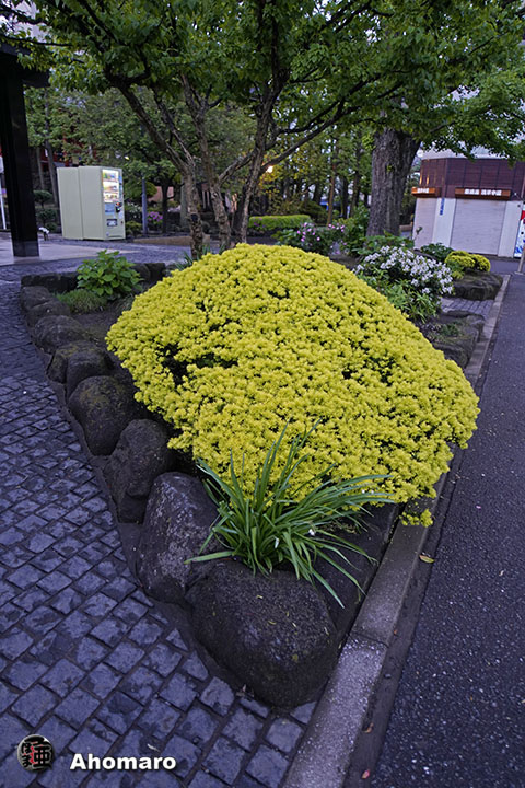 写真00