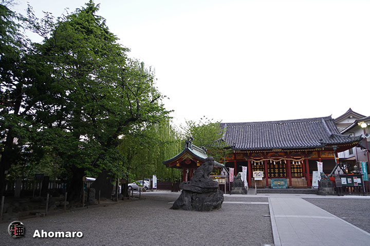 写真00