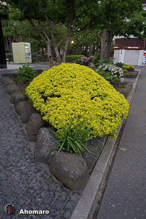 写真00