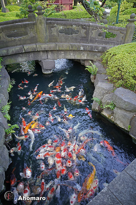 写真00