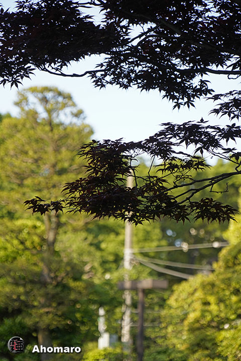 写真00