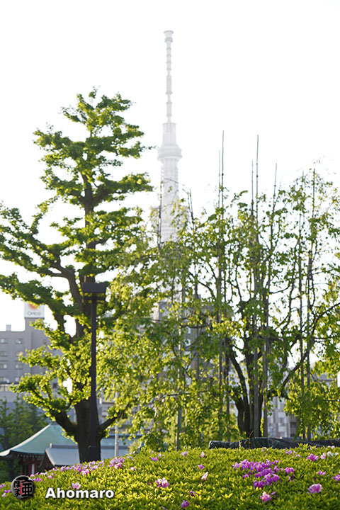 写真00